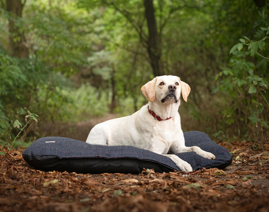 Coussins pour chien en tweed - Navy - Earthbound
