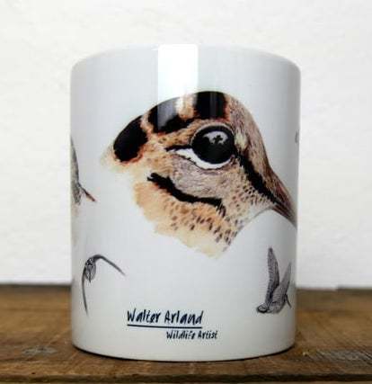 Mugs étude bécasse couleur