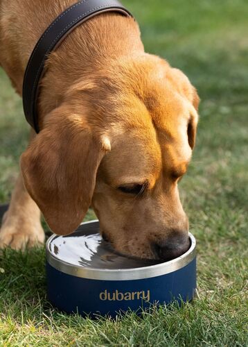Gamelle archie inox pour chien
