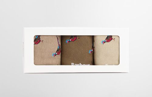 Chaussettes FAISANS trench