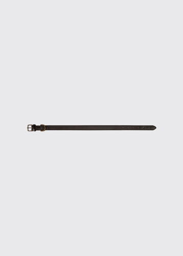 Collier cuir pour chien Axel