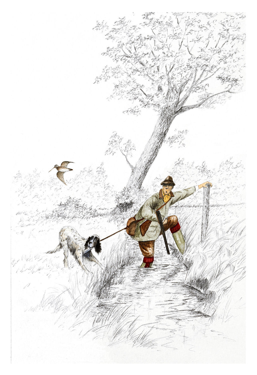 Tirages chasseur et bécassine