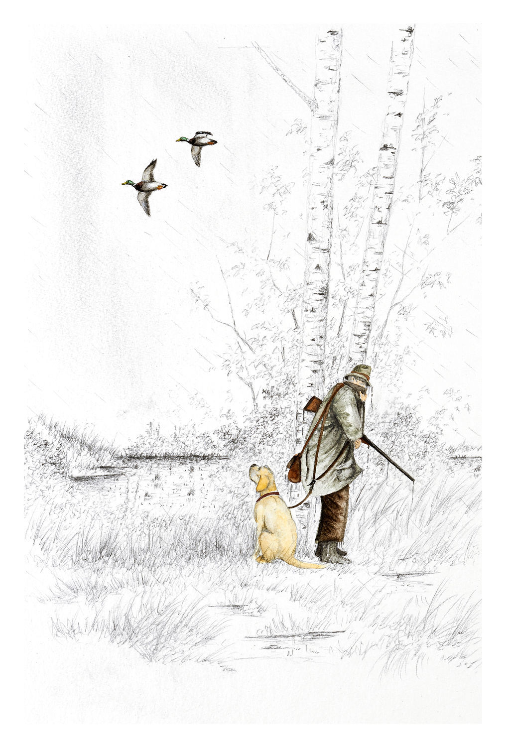 Tirages chasseur et colverts