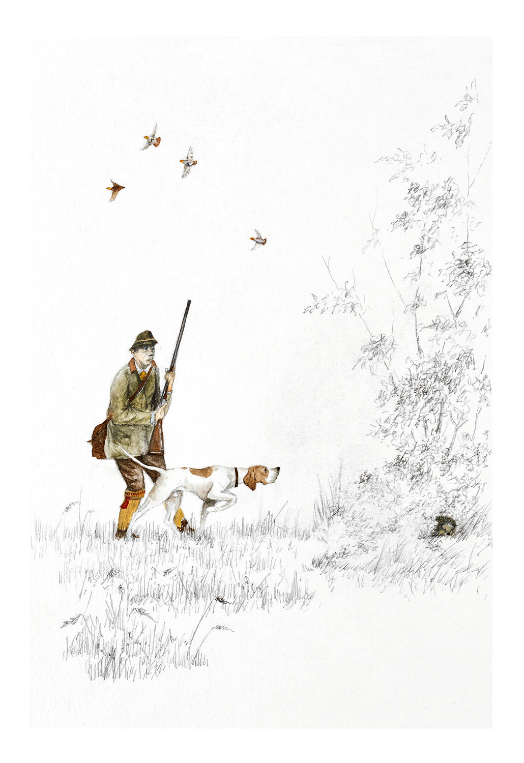 Tirages chasseur et perdreaux