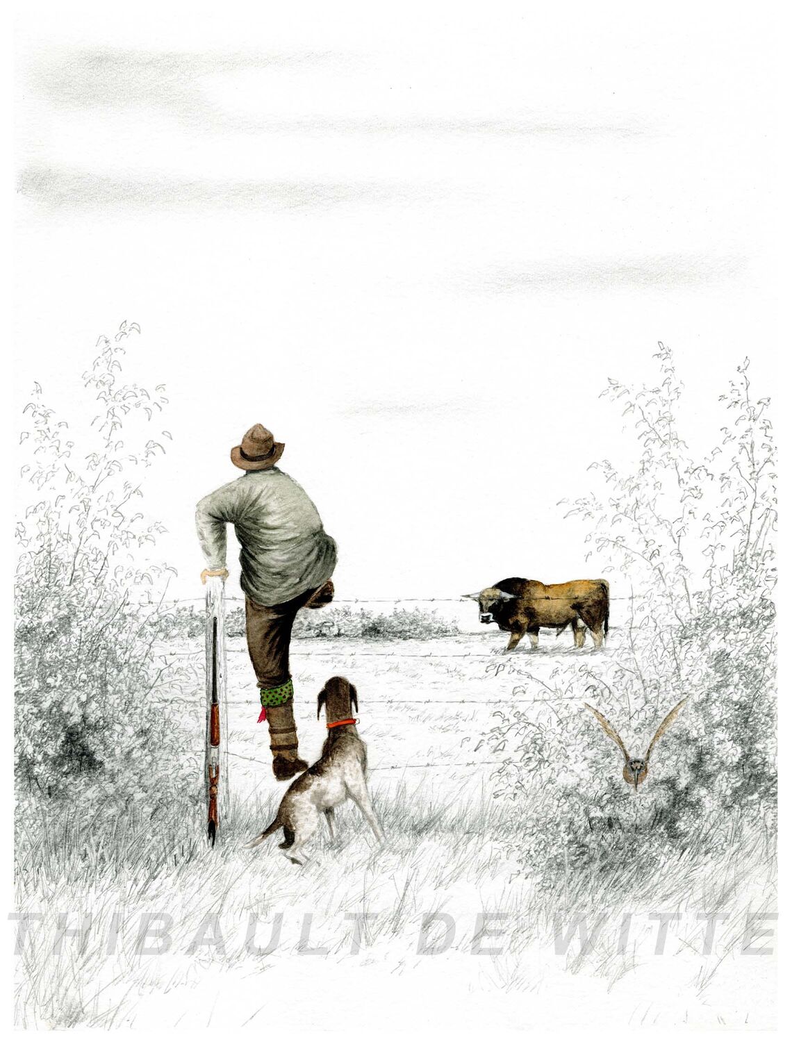 "Woodcock, tail up" prints