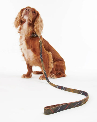 Laisse à mousqueton pour chien - Tartan classic - Barbour