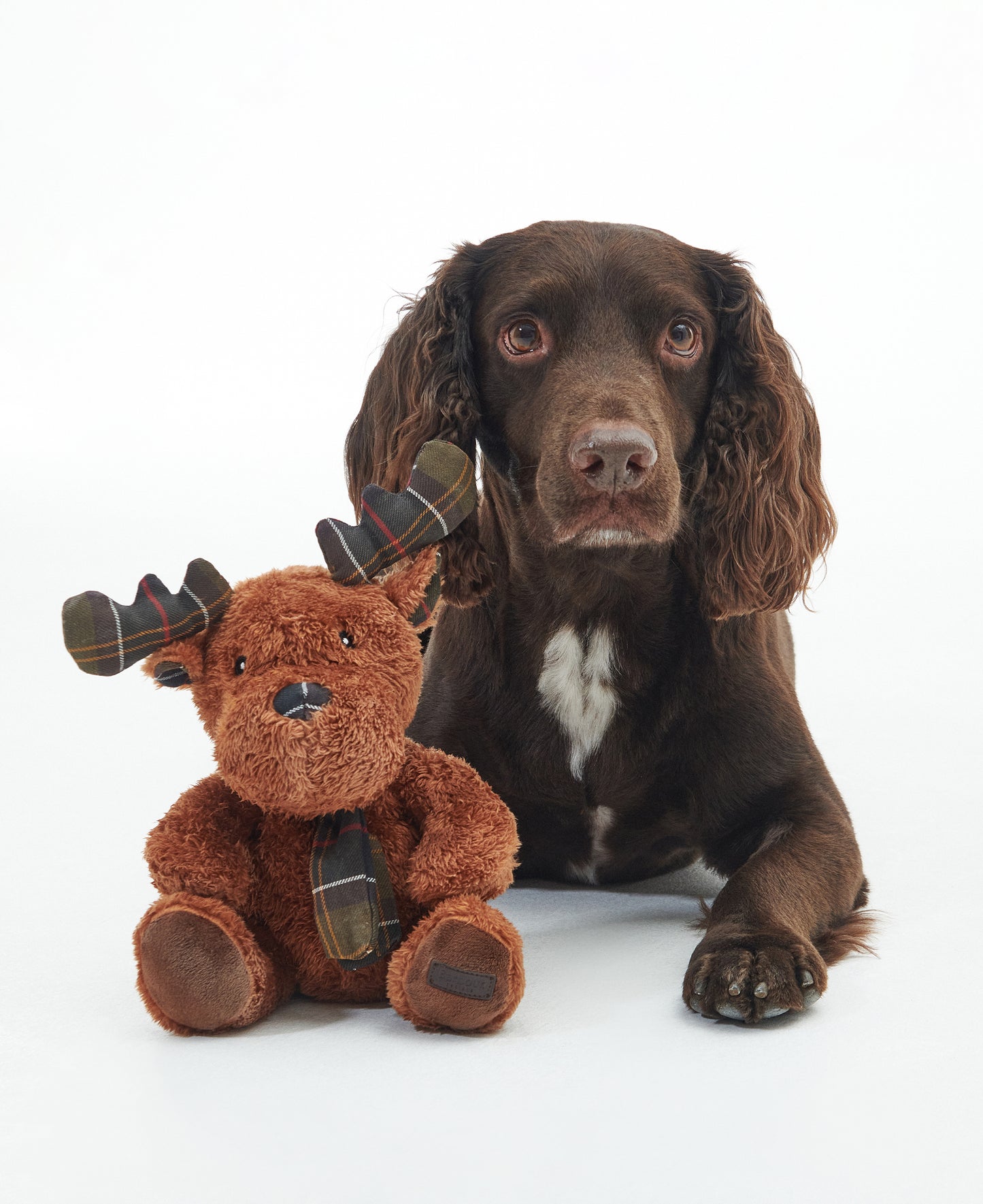 Jouet renne