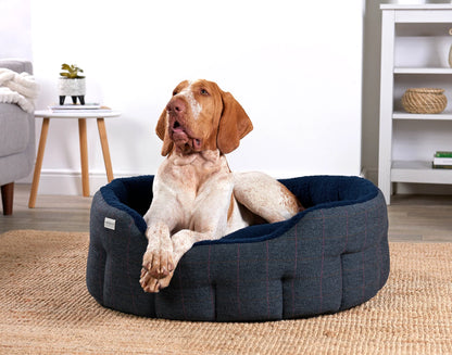 Paniers pour chien en tweed - Navy - Earthbound