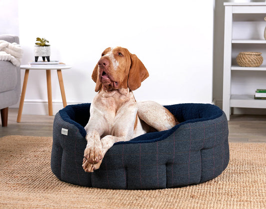 Blue tweed dog baskets
