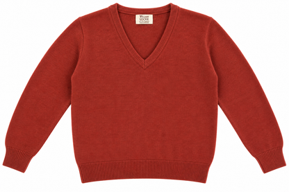 Pull en lambswool col V Homme - Sienna - William Lockie