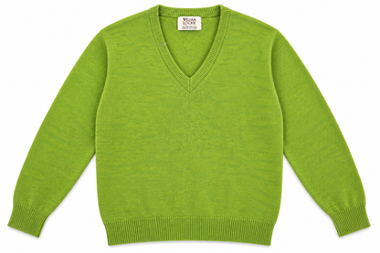 Pull en lambswool col V Homme - Moss - William Lockie