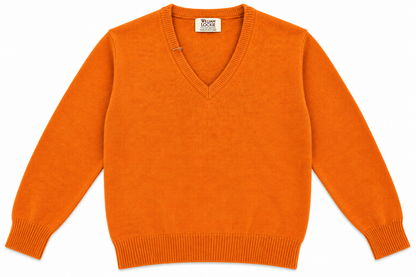 Pull en lambswool col V Homme - Oxyde - William Lockie