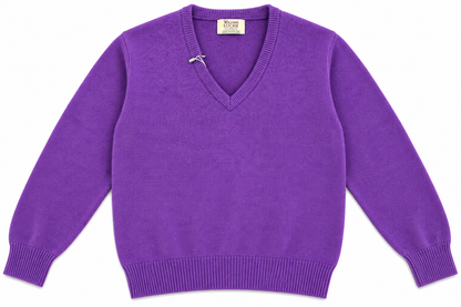 Pull en lambswool col V Homme - Regalia - William Lockie
