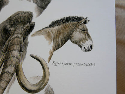 Tirage fine art Faune de la Préhistoire