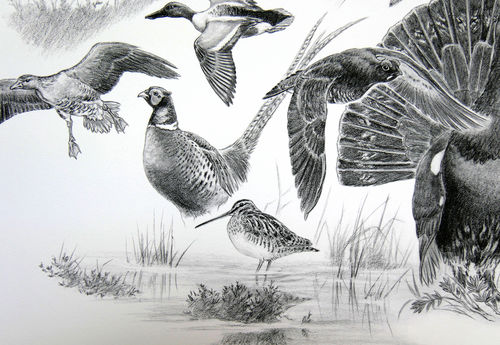 Tirage fine art Oiseaux