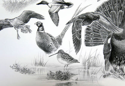 Tirage fine art Oiseaux