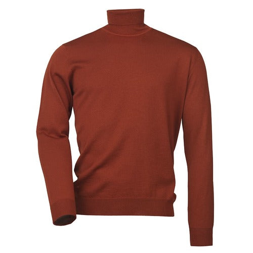 Pull merino col roulé easton 4 coloris