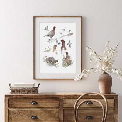 Tirage fine art Grouse