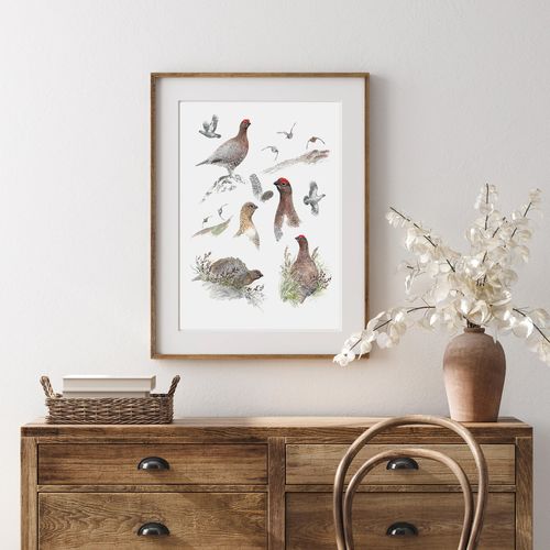 Tirage fine art Grouse