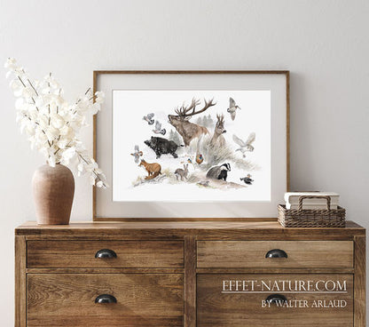 Tirage fine art Bestiaire
