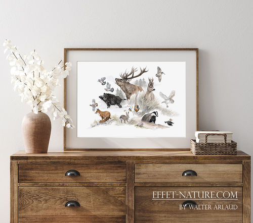 Tirage fine art Bestiaire