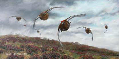 Driven grouse tirage édition limitée