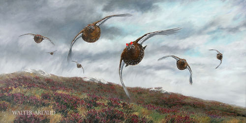 Driven grouse tirage édition limitée