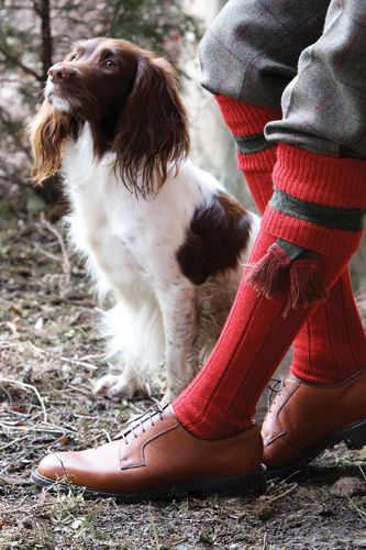 Chaussettes avec Garters Byron 3 coloris