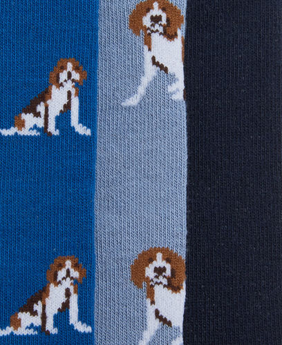 Chaussettes BEAGLE blue