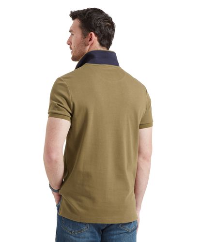 Polo St Ives dark kaki