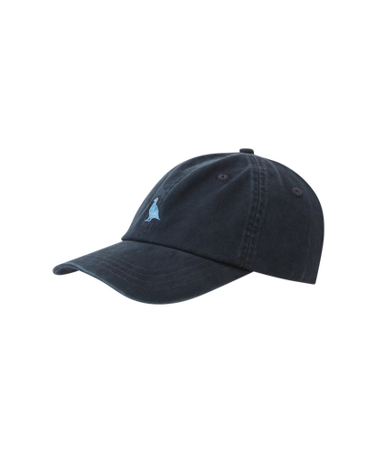 Colwell Cap 4 colors