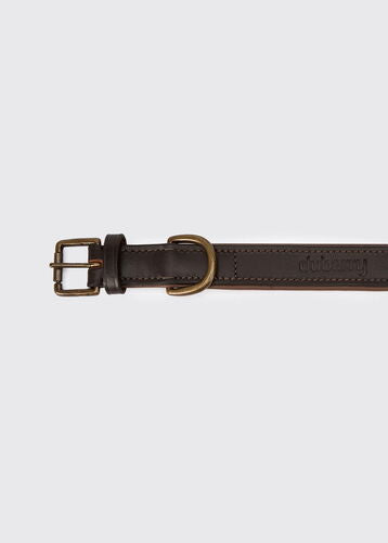 Collier cuir pour chien Axel