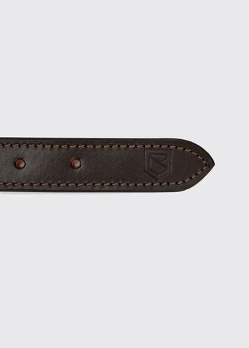 Collier cuir pour chien Axel
