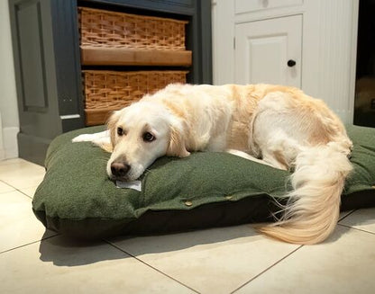 Coussins tweed pine green pour chien 2 tailles