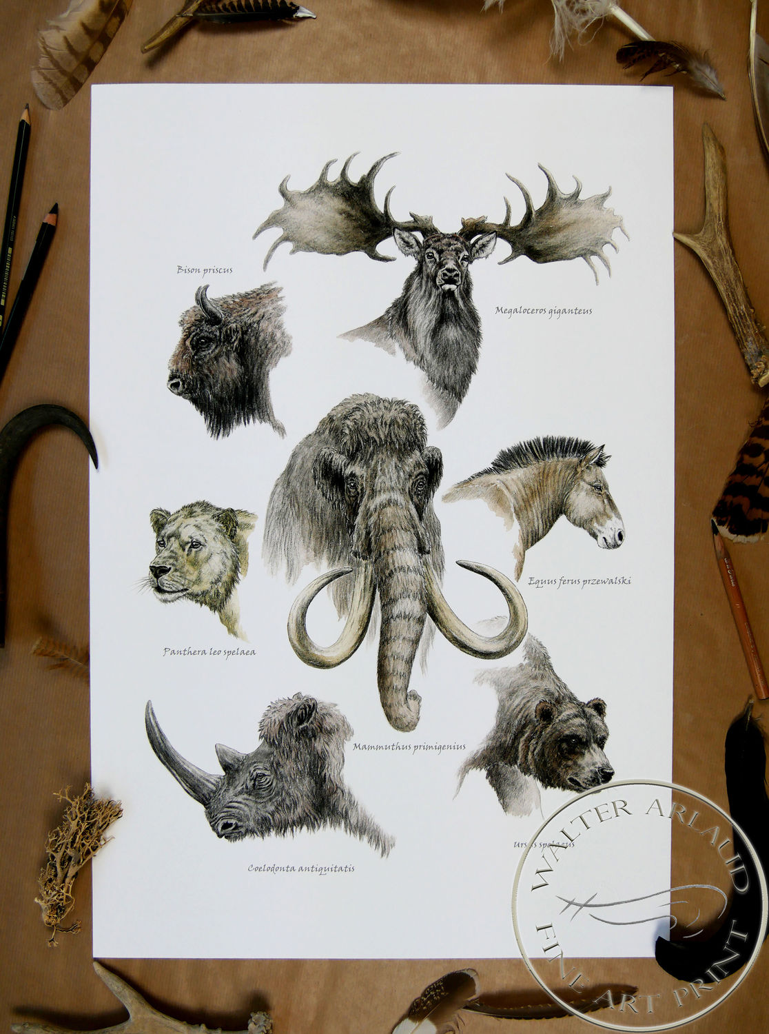 Tirage fine art Faune de la Préhistoire