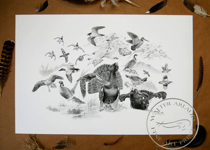 Tirage fine art Oiseaux