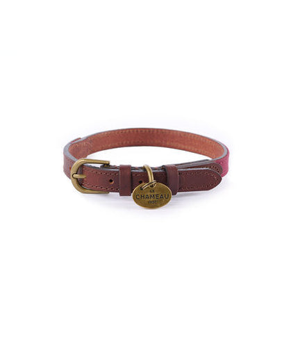Red cotton/leather hunting dog collar