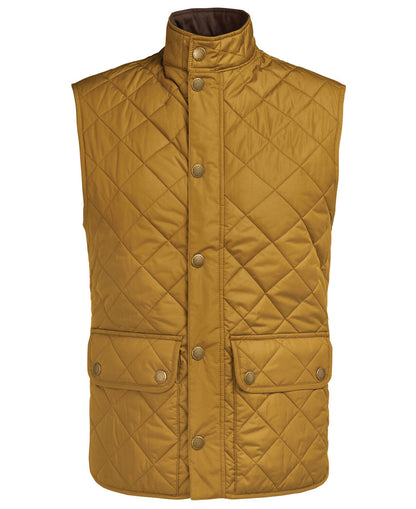 Gilet matelassé new LOWERDALE ochre