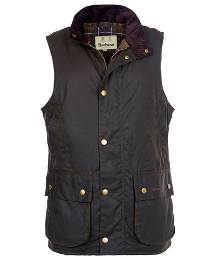Gilet huilé WESTMORLAND olive