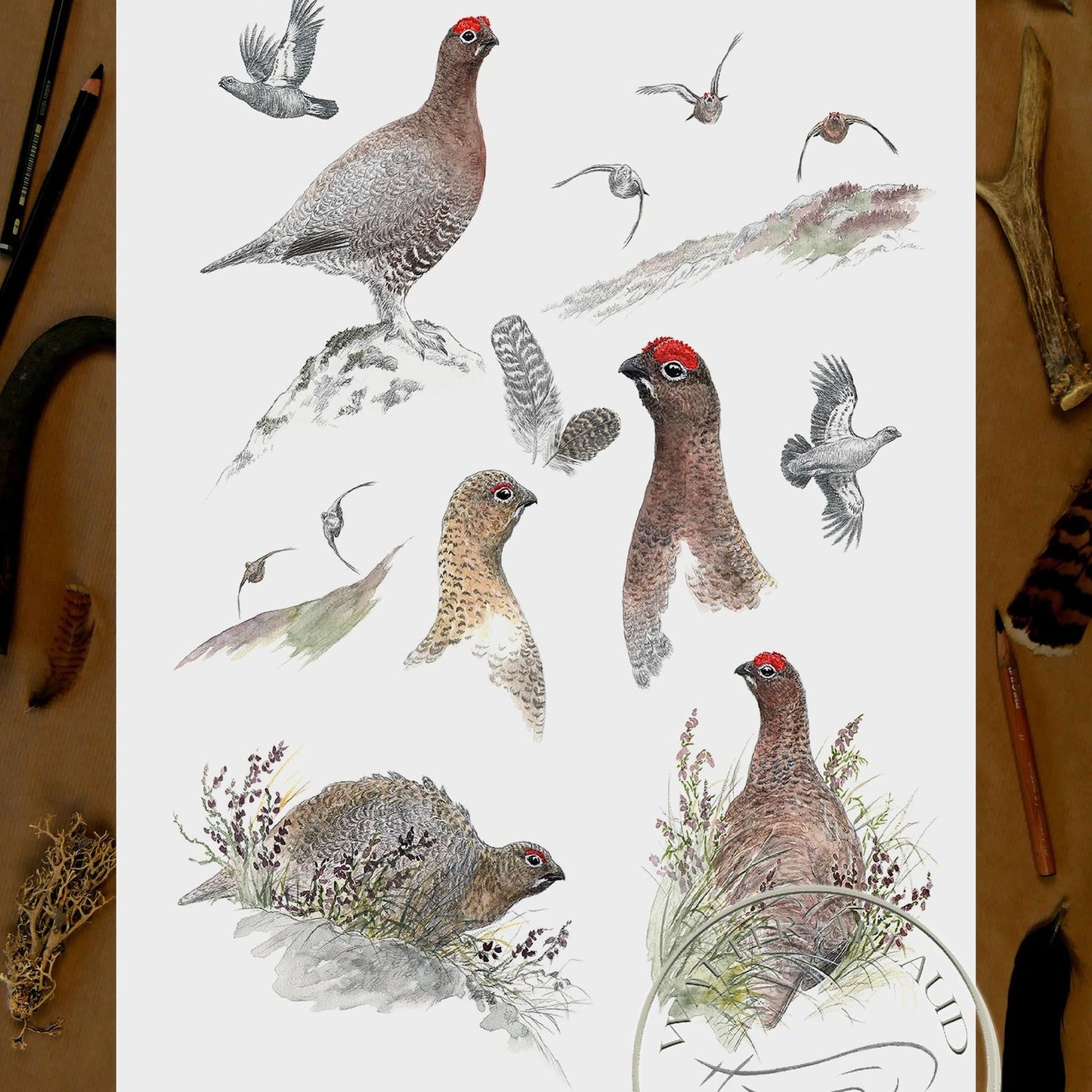 Tirage fine art Grouse
