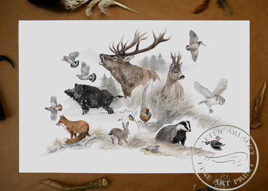 Tirage fine art Bestiaire
