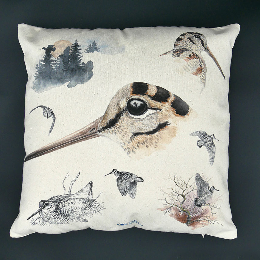Coussin étude bécasse