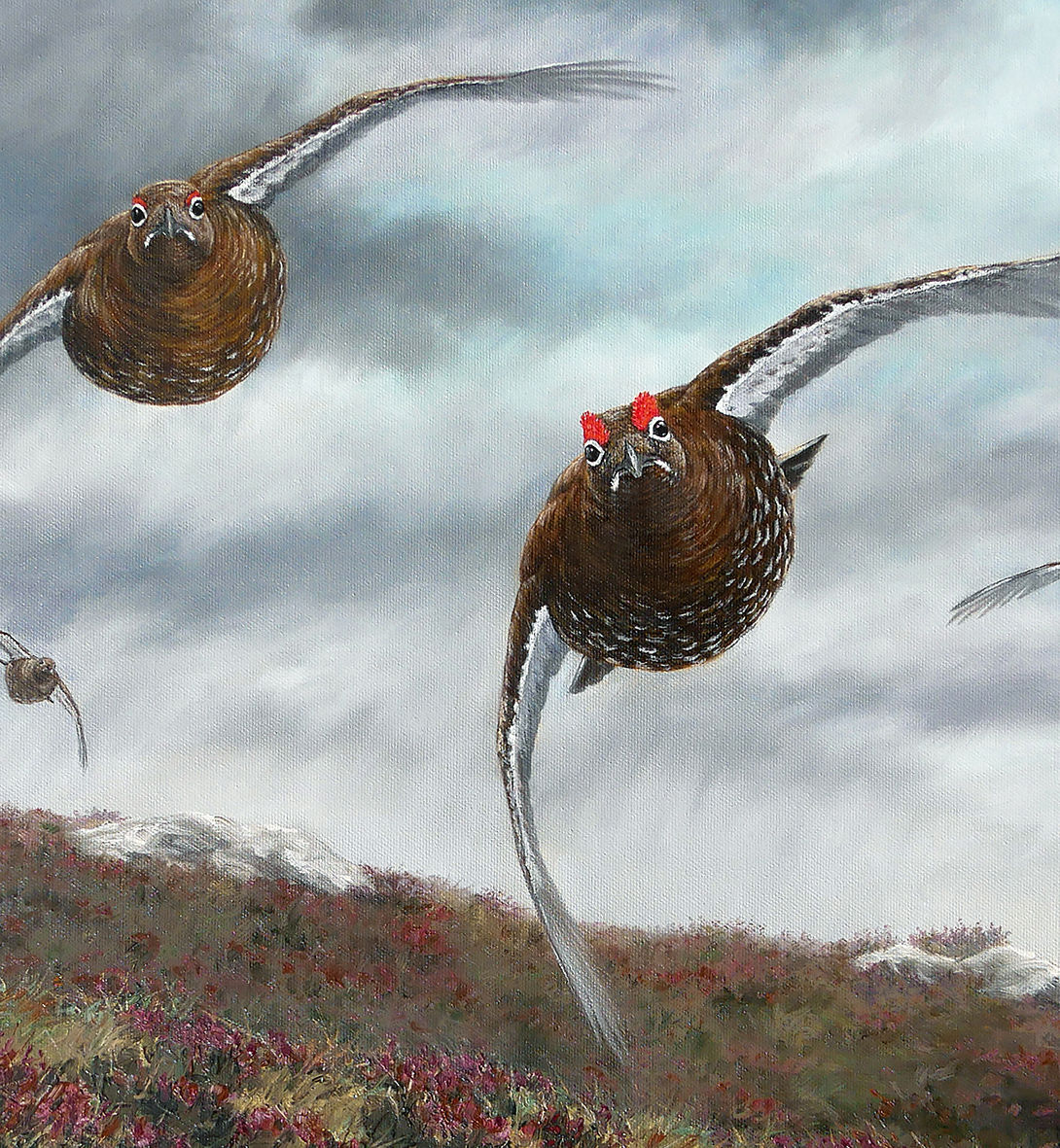 Driven grouse tirage édition limitée