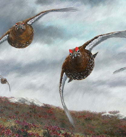 Driven grouse tirage édition limitée