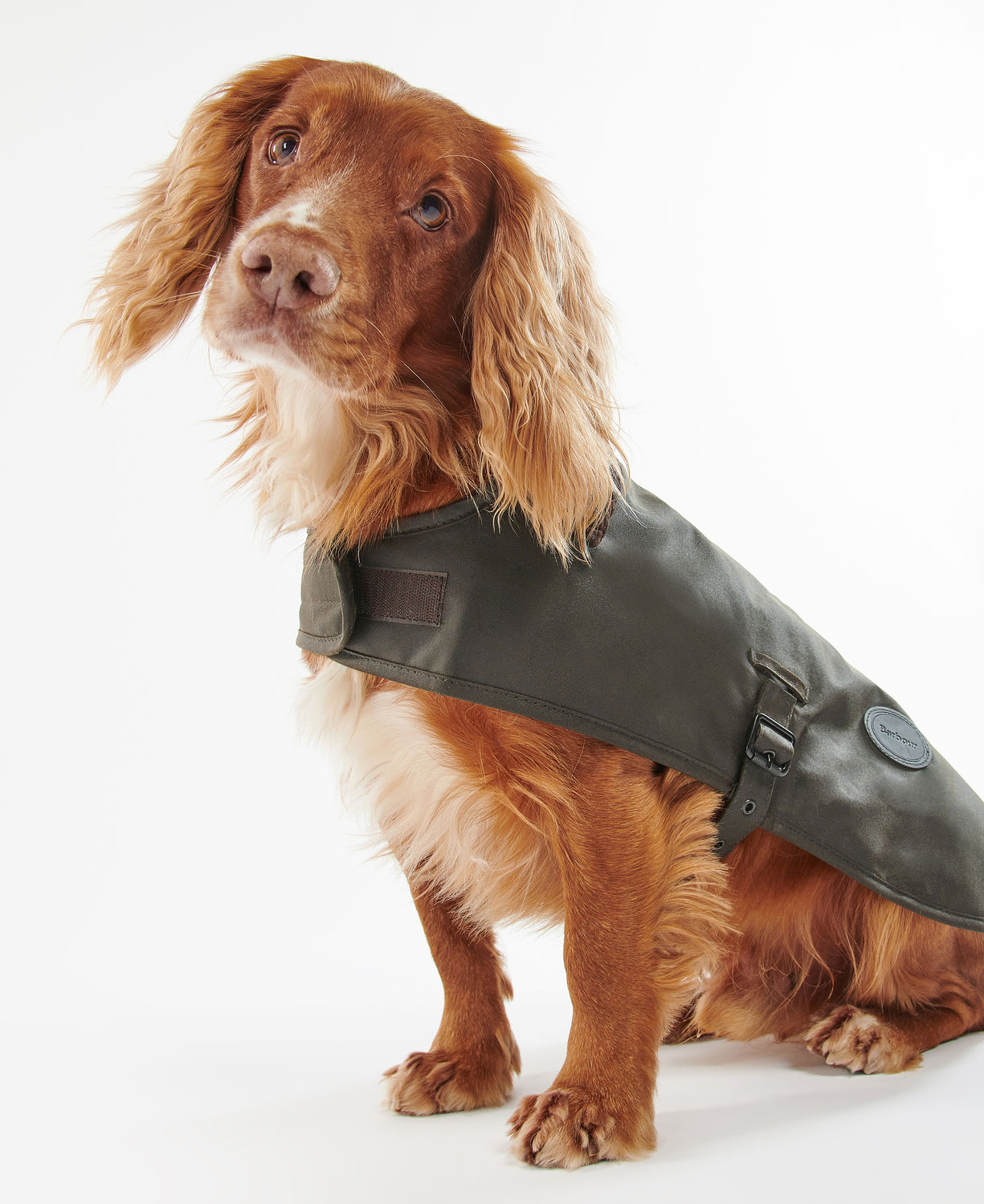 Manteau huilé pour chiens 3 tailles