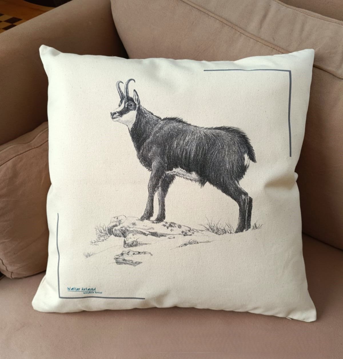 Coussin Chamois
