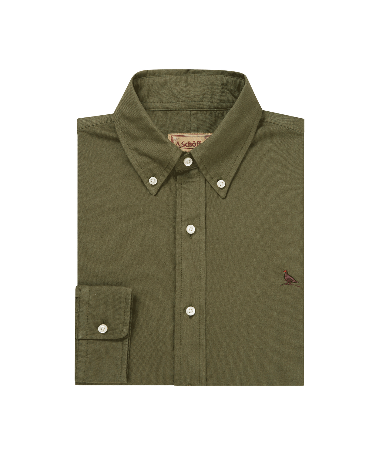 Chemise oxford Cavendish 3 coloris