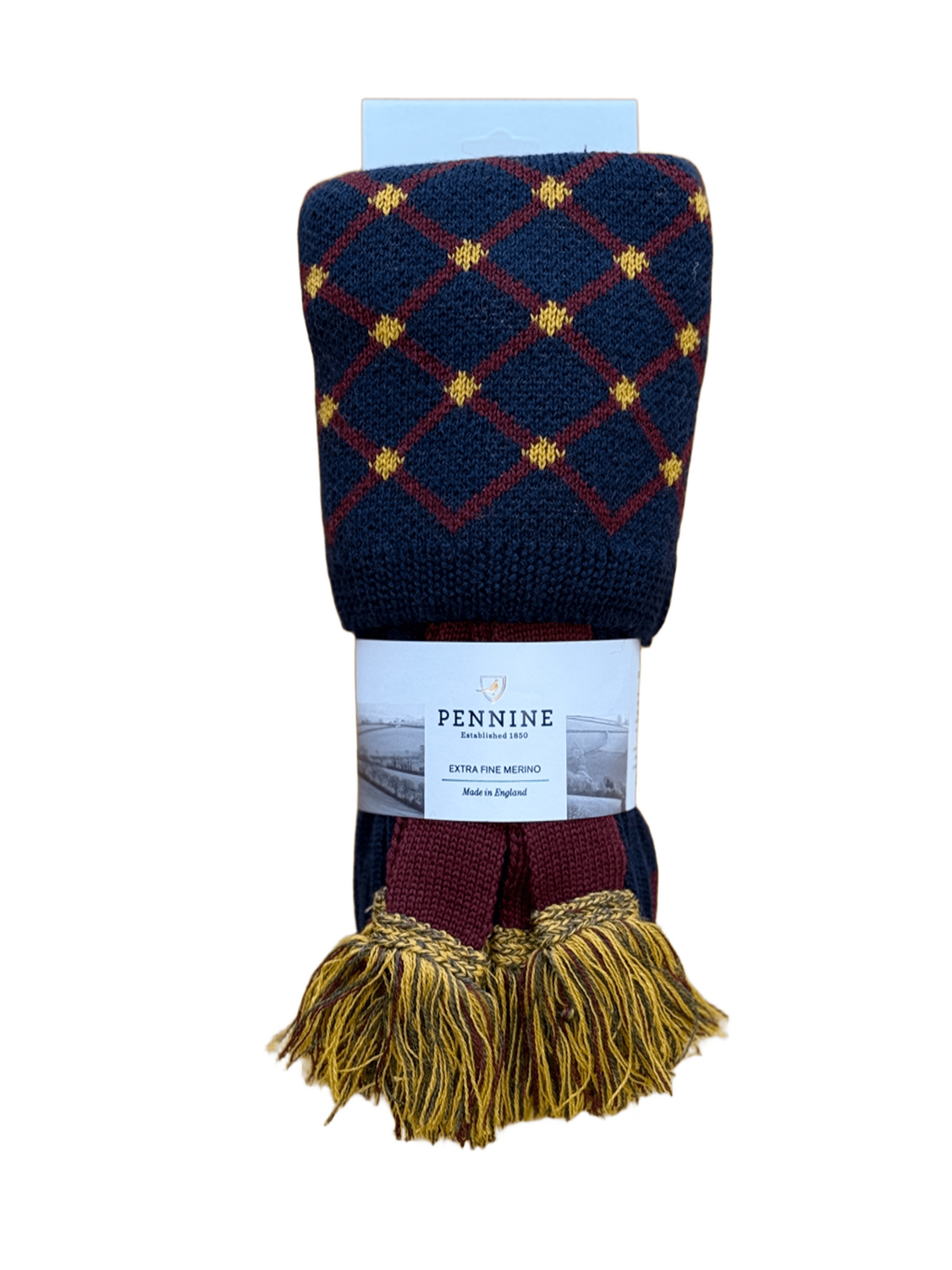 Chaussettes Regent navy avec garters