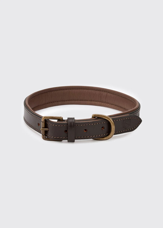 Collier cuir pour chien Axel