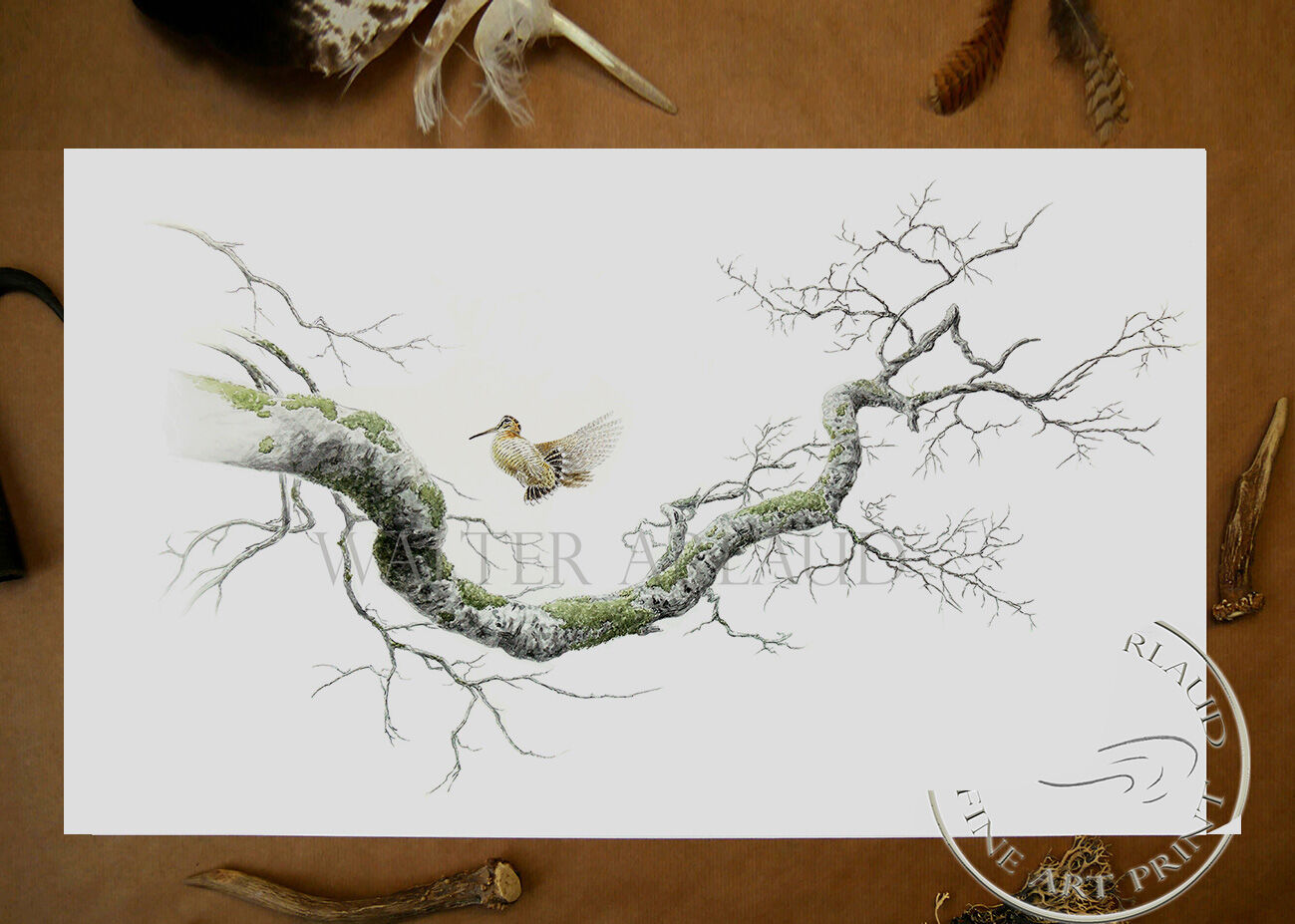Tirage fine art étude Voltige